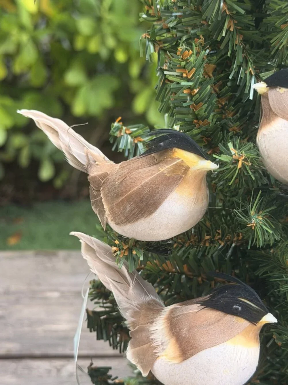Lot of 5 Vintage Bird Clip On Christmas Tree Ornaments Woodland Cottage Decor